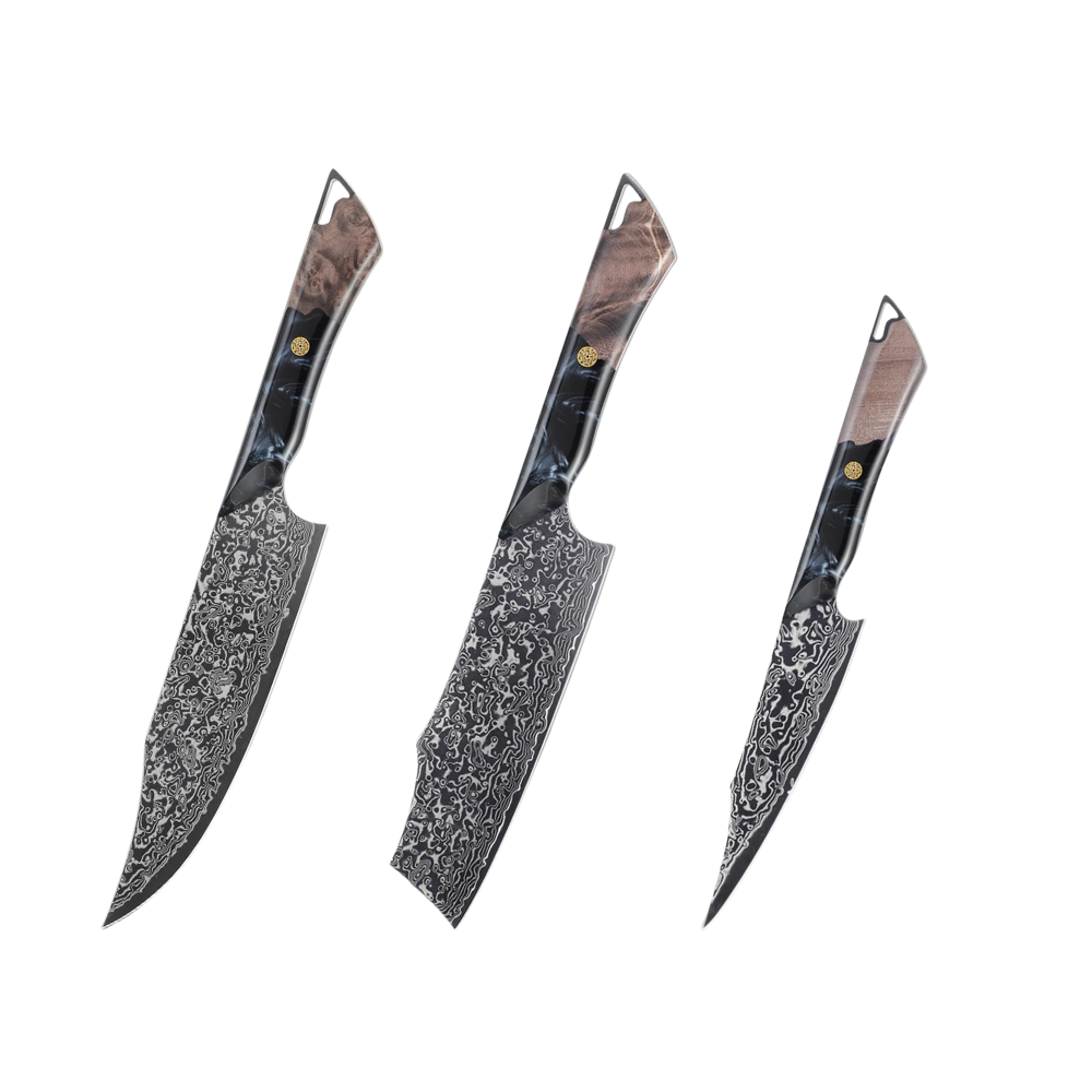 Premium VG-10 Damascus DLC Coating Knife Set H211 - Hikari