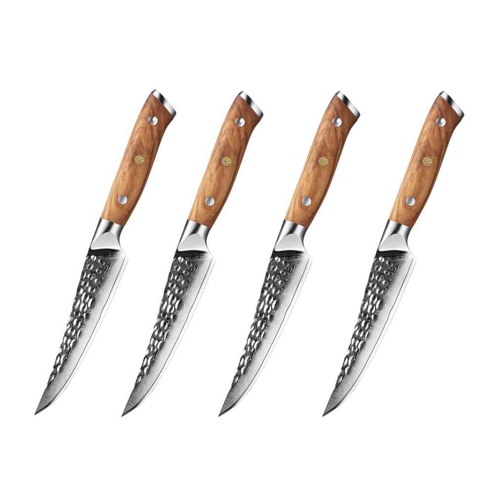 Set of four knives with wooden handles on a white background